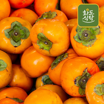 [화도식탁] 아삭달콤 경북 단감 5kg/10kg