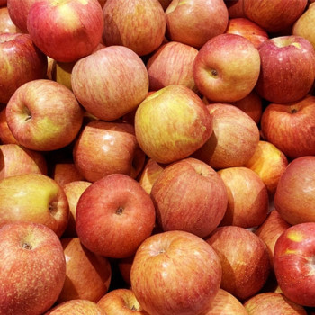 [오커최고] 달콤아삭 부사 사과 2kg 3kg 5kg