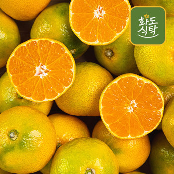 [화도식탁] 산지직송 제주 감귤 3kg/4.5kg (실중량)