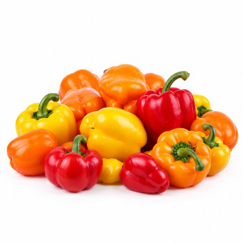 [올플] 아삭 달콤 국내산 파프리카 1kg/2kg/3lg/5kg