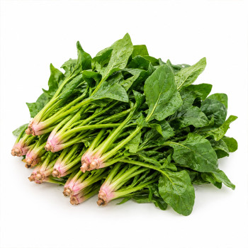 [올플] 해풍맞고 자란 남해 보물초 시금치 500g/1kg/2kg/3kg