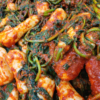 국내산 깊은 맛 숙성 총각김치 2kg~5kg