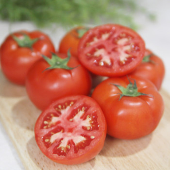 국내산 당도 높은 완숙토마토 5kg