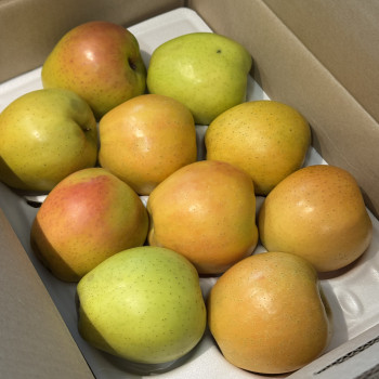 국내산 경북 골든피치 애플 1kg~5kg