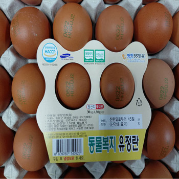 평창양계 난각번호2번 유정란 30알+30알