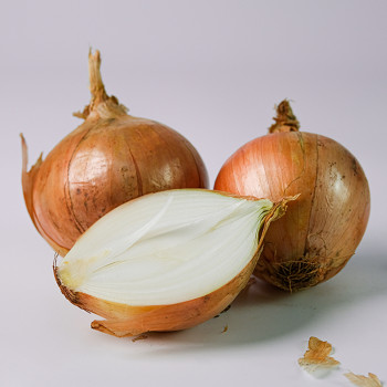 26년 국내산 햇 양파 우리땅에서 키운  양파 (2kg/3kg/5kg) 최고다