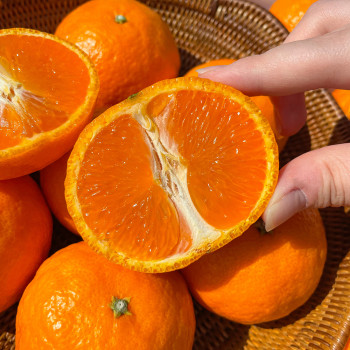 새콤달콤 제주 카라향 당도보장 신선배송 최고다참